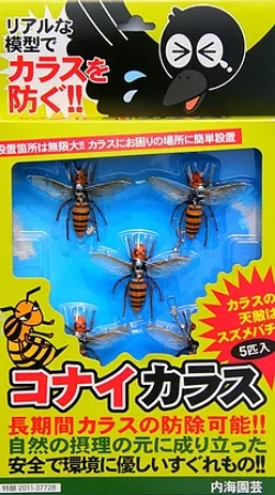コナイカラス