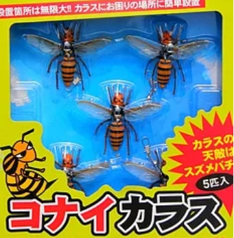 コナイカラス
