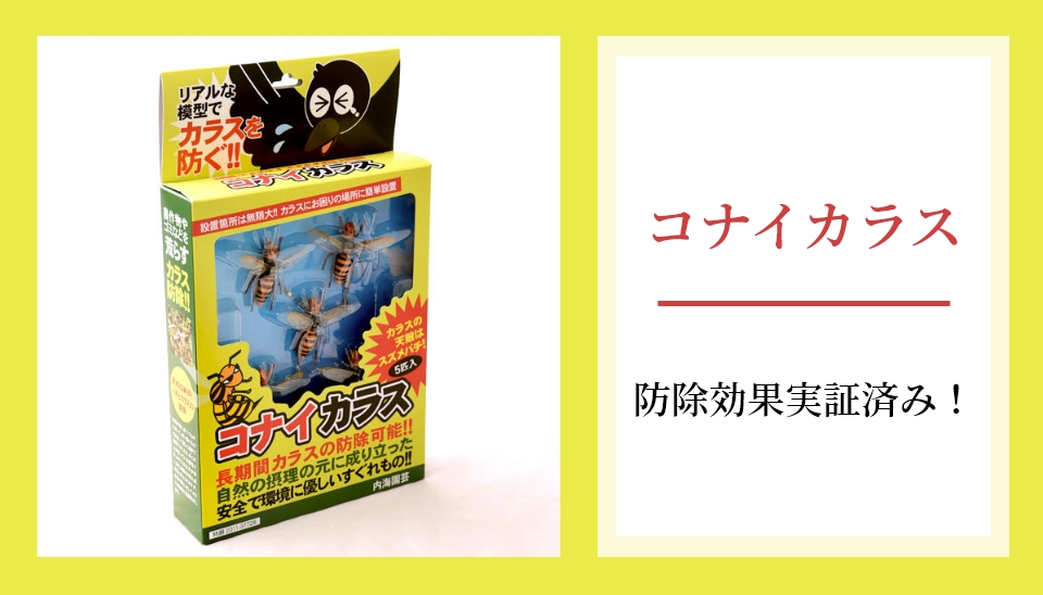 コナイカラス